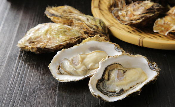 生牡蠣　Oysters