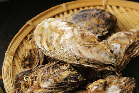 生牡蠣　Oysters
