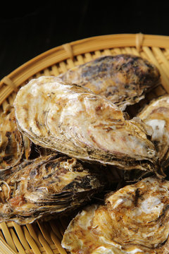生牡蠣　Oysters