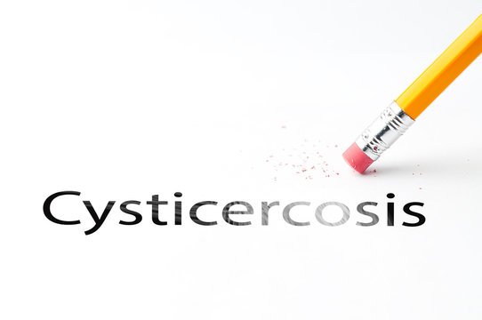 Closeup of pencil eraser and black cysticercosis text. Cysticercosis. Pencil with eraser.