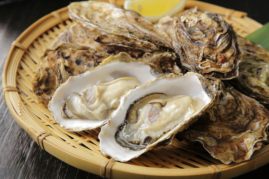 生牡蠣　Oysters
