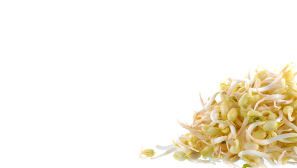 Sprouts isolated on white background