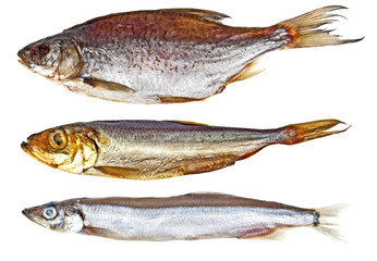 Set of different fishes isolated on a white background