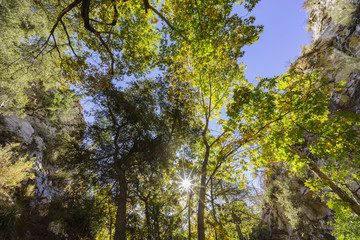 Beautiful fall color of Switzer Falls Trail