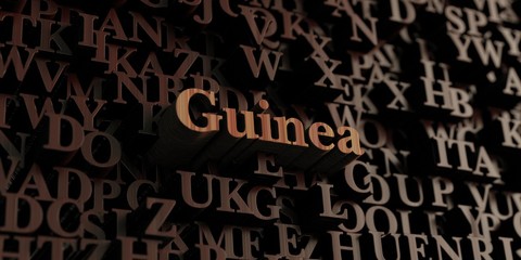 Guinea - Wooden 3D rendered letters/message.  Can be used for an online banner ad or a print postcard.
