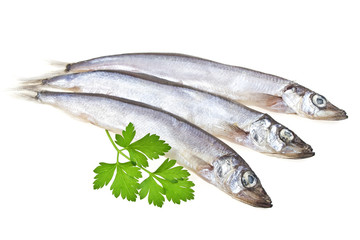 Capelin fish and parsley isolated on white background