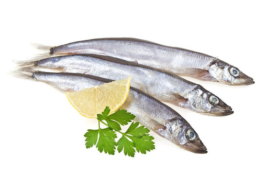 Capelin fish, lemon and parsley isolated on white background