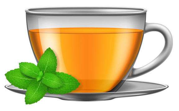 Cup of green herbal tea with mint. Vector illustration.