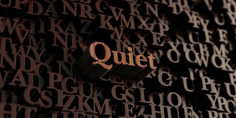 Quiet - Wooden 3D rendered letters/message.  Can be used for an online banner ad or a print postcard.