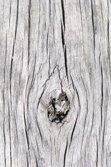 Abstract Wood Grain on Old Railway Sleepers