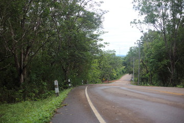 road and forest in Pang Sida National Park at Thailand