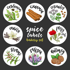 Spices and herbs jar labels and stickers. Colored vector condiment bakery set with cardamom, coriander, cinnamon, vanilla, poppy seed, sesame, nutmeg, saffron. Botanical illustrations