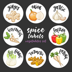 Spices and herbs jar labels and stickers. Colored vector condiment vegetables set with ginger, onion, garlic, horseradish, paprika, fennel, turmeric, parsnip. Botanical illustrations