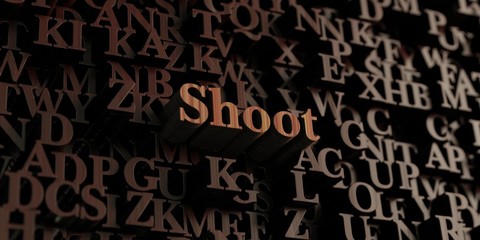 Shoot - Wooden 3D rendered letters/message.  Can be used for an online banner ad or a print postcard.