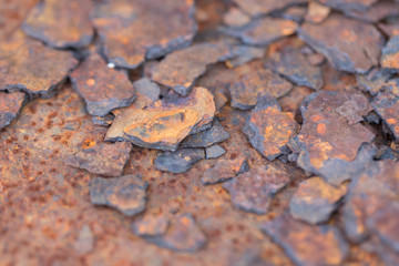 Stripe rust, caused by floor mat gradient.