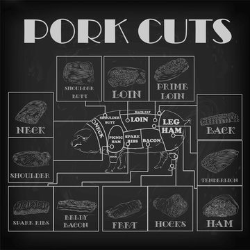 Pork pig side carcass cuts cut parts info graphics scheme sign 