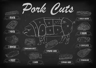 Pork pig side carcass cuts cut parts info graphics scheme sign 