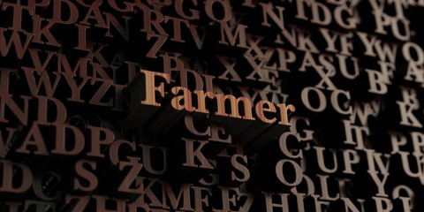 Farmer - Wooden 3D rendered letters/message.  Can be used for an online banner ad or a print postcard.