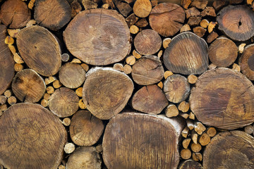 round teak wood stump background can use as wall paper