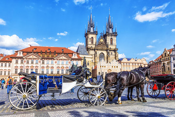 Naklejka na ściany i meble walking horse carriage in Old Town Square in Prague, Czech Repub