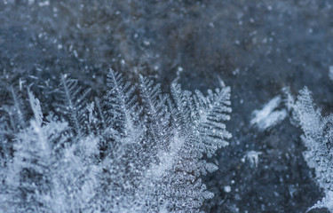 Naklejka na ściany i meble Winter hoarfrost, ice and snow, xmas background