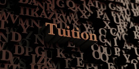 Tuition - Wooden 3D rendered letters/message.  Can be used for an online banner ad or a print postcard.