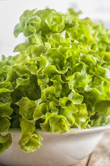 Fresh green Lettuce salad background
