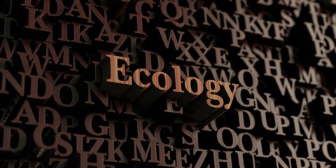 Ecology - Wooden 3D rendered letters/message.  Can be used for an online banner ad or a print postcard.
