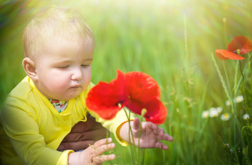Obraz na płótnie Canvas .A small child playing in the field with red poppies . The baby .