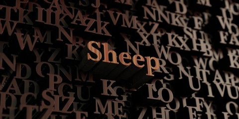 Sheep - Wooden 3D rendered letters/message.  Can be used for an online banner ad or a print postcard.