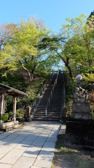 Flight of stairs in shrine compound, Japan