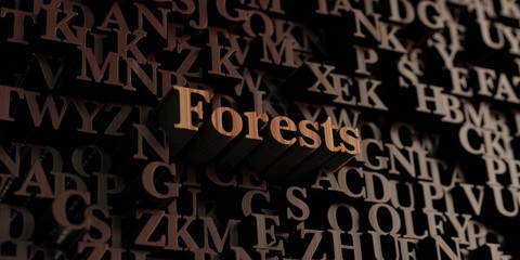 Forests - Wooden 3D rendered letters/message.  Can be used for an online banner ad or a print postcard.