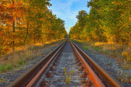 Herbstliche Bahnstrecke / Eisenbahnstrecke zwischen Dannenberg und Hitzacker (Landkreis L&uuml;chow-Dannenberg, Niedersachsen). Aufgenommen am 30. Oktober 2016.