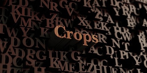 Crops - Wooden 3D rendered letters/message.  Can be used for an online banner ad or a print postcard.