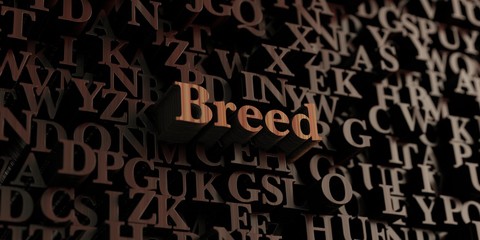 Breed - Wooden 3D rendered letters/message.  Can be used for an online banner ad or a print postcard.