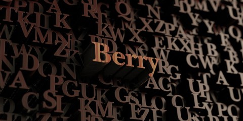 Berry - Wooden 3D rendered letters/message.  Can be used for an online banner ad or a print postcard.