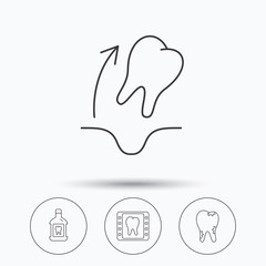 Tooth extraction, caries and mouthwash icons.
