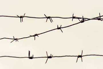 Barbed wire on a background of yellow sky
