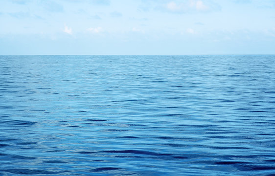 Fototapeta blue tropical ocean and sky