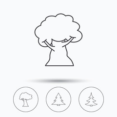 Tree, oak-tree and christmas tree icons.