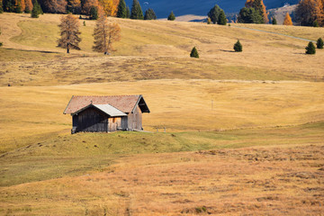 malga d'alpeggio