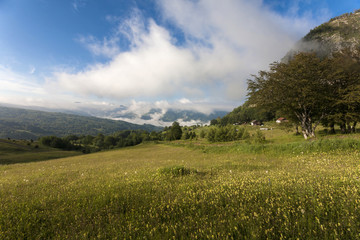 Fototapeta premium carpatians mountains