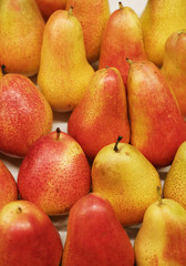 ripe juicy pears background