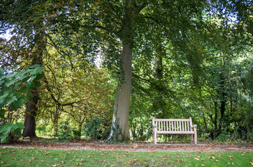 bench at the park cambridge