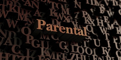 Parental - Wooden 3D rendered letters/message.  Can be used for an online banner ad or a print postcard.