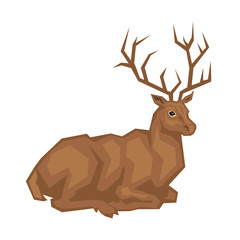 Vector image of a red deer. Isolated on a white background.