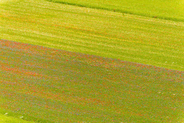 Obraz premium Castelluccio di Norcia