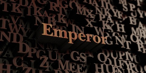 Emperor - Wooden 3D rendered letters/message.  Can be used for an online banner ad or a print postcard.