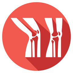 human knee joint anatomy flat icon