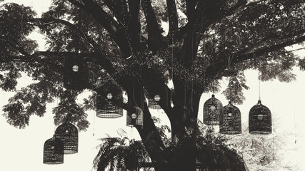 Black and white photo of trees A bird cage hanging, Halloween. Dark tone